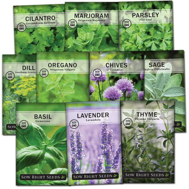 Large Herb Seeds Garden Collection NonGMO Varieties 10 Count