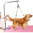 thumbnail image 1 of Pet Grooming Table Rope Pet Grooming Leash Neck And Hock Holder Dog Grooming Buckle Yellow+green, 1 of 5