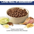 thumbnail image 4 of Hill's Science Diet Puppy Small & Mini Chicken & Brown Rice Recipe Dry Dog Food, 5.67-kg bag, 4 of 5