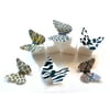 "24 Very Small 1"" Assorted Animal Print Edible Image Wafer Paper Deco Machine? Butterflies Wedding Birthday Cake Cookie Cupcake Butterfly Dessert Topper Decoration Party Supplies"