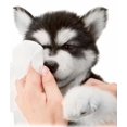 thumbnail image 4 of Toallitas húmedas para mascotas para limpiar y desodorizar - Toallitas con aroma fresco, 70 unidades, 4 of 4