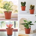 thumbnail image 4 of 20 macetas pequeñas de 10 cm para plántulas, maceta de plástico, maceta para interior/exterior, adecuada para plántulas, flores, suculentas TUNC Sencillez, 4 of 4
