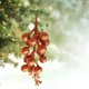 thumbnail image 3 of mfyjkho Colgantes artificiales de ramas de bayas navideñas con ganchos para decorar el árbol de Navidad, 20 cm, 3 of 4