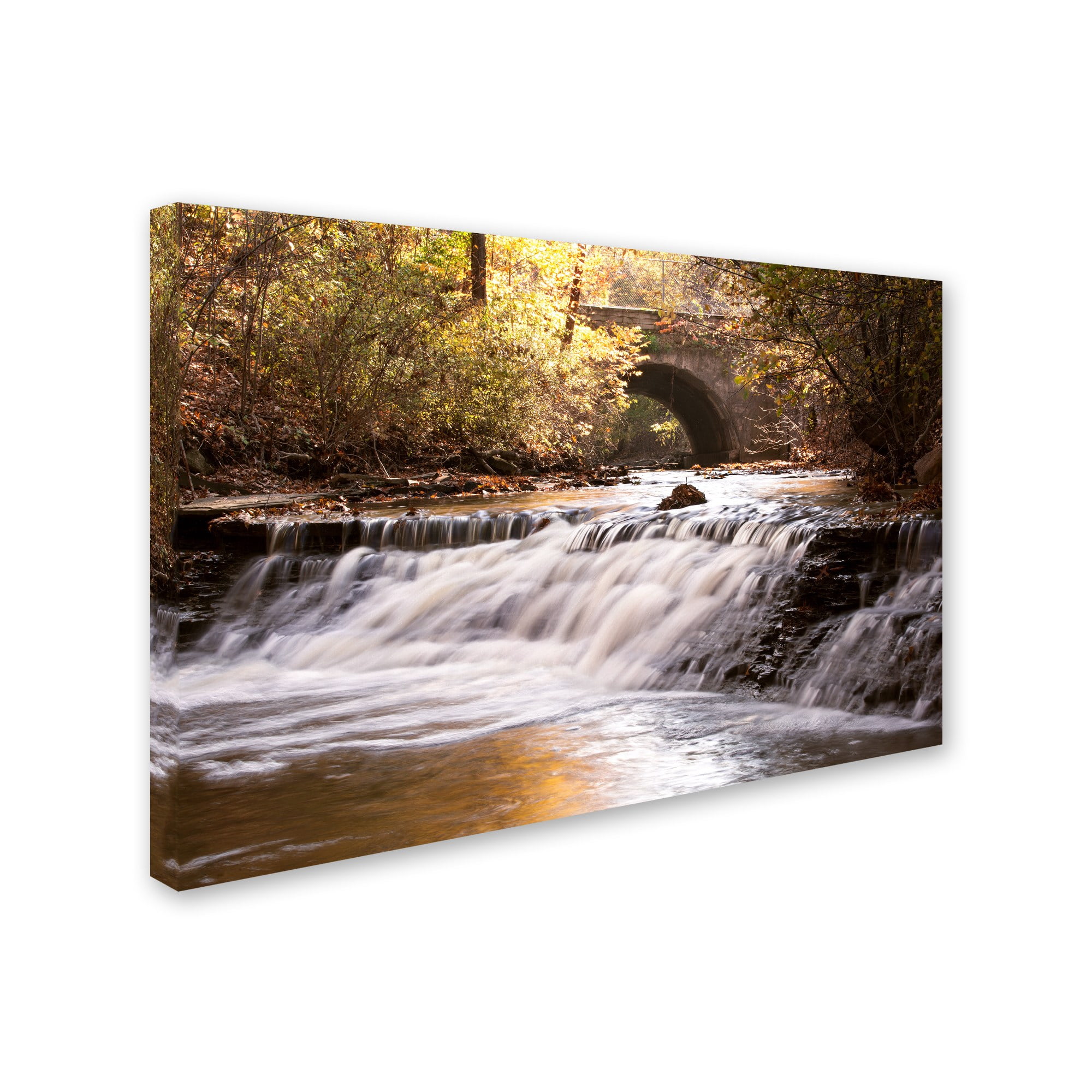 Trademark Fine Art "Avon Falls" Canvas Art by Jason Shaffer
