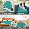 thumbnail image 2 of Yayeee Throw Blanket for Couch Soft Warm 60" x 80" Sofa Chair Bed Decoration, Black Cat and Coffee, 2 of 7