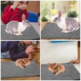thumbnail image 4 of 5 Pcs Couvertures pour Cochon d'Inde Lavables en Microfibre Literie Doublures de Cage pour Cochon d'Inde Réutilisables Tapis de Pipi pour Animaux, 4 of 8