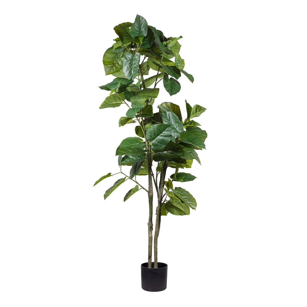 Planta Artificial Ficus Umbellata 165 Cm