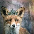 thumbnail image 2 of "Queen Fox" Painting Print on Wrapped Canvas, 2 of 5