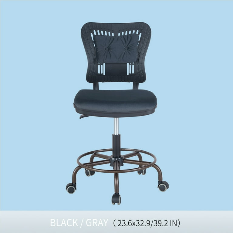 Hassch Ergonomic Chairs with Lumbar Support Adjustable Height