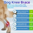 thumbnail image 6 of Small Dog Knee Brace for Torn Acl Hind Leg for Support with Cruciate Ligament Injury, Help Recovery with Dog Braces for Back Leg (S), 6 of 6