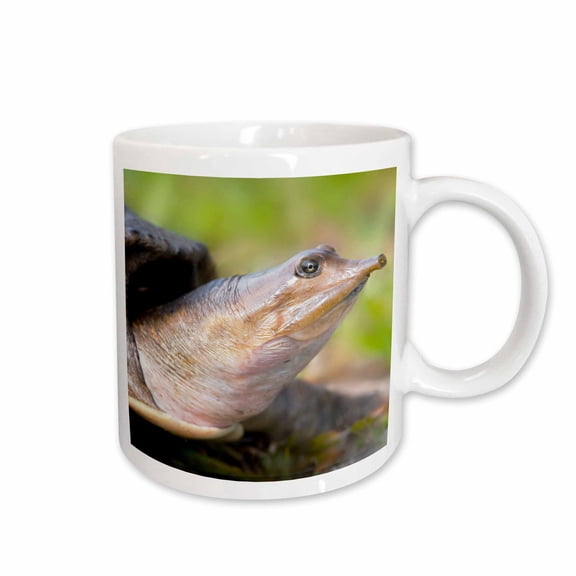 3drose, Florida, Loxahatchee Nwr, Soft Shelled Turtle Eggs - Us31 Jgl0006 - Jim Gilbert, 15oz Mug