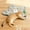Yellow, variant on Rechargeable Automatic Cat Toy, 3-Mode Touch-Activated Interactive Toy with Random Motion, Concealed Feather & Squeaky Sound for Indoor Cats & Kittens (Blue)