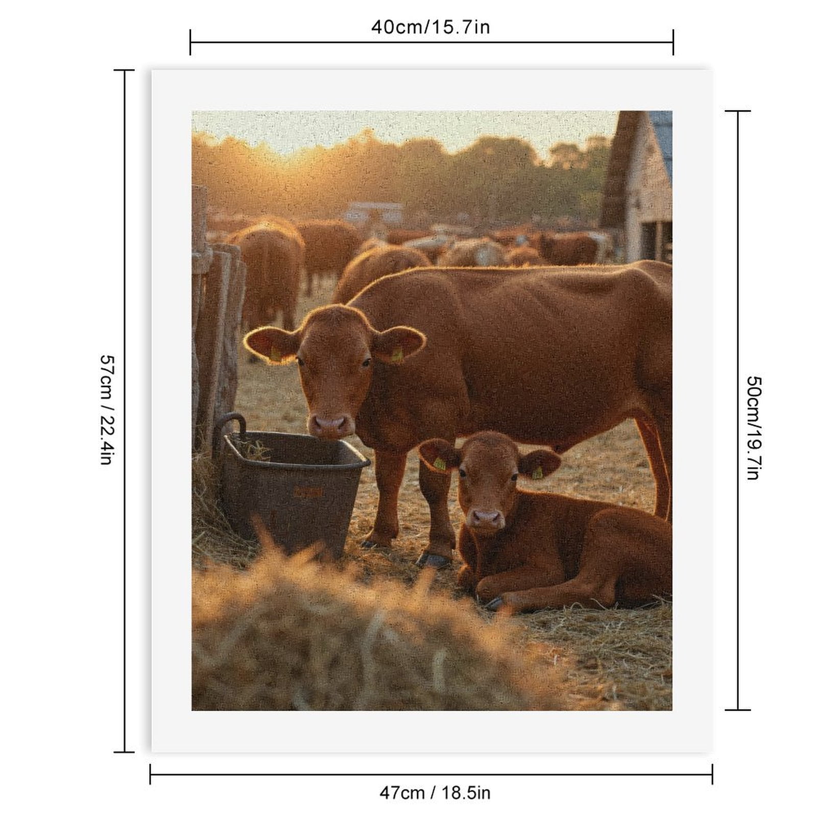 Paint by Numbers Kit for Adults, Cows Sunset Farm Scene Paint by Numbers, Easy Paint by Numbers Kit for Adults Beginner, DIY Adult Paint by Number Kits on Canvas, Home Decor