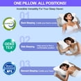 thumbnail image 7 of Molbox Ergonomic Cervical Pillows，Memory Foam Sleeping Bed Pillow for Neck & Shoulder Pain Relief for Side Back Stomach Sleepers White, 7 of 7
