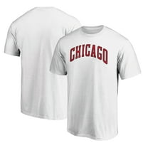 Men's White Chicago Bulls Alternate Logo T-Shirt