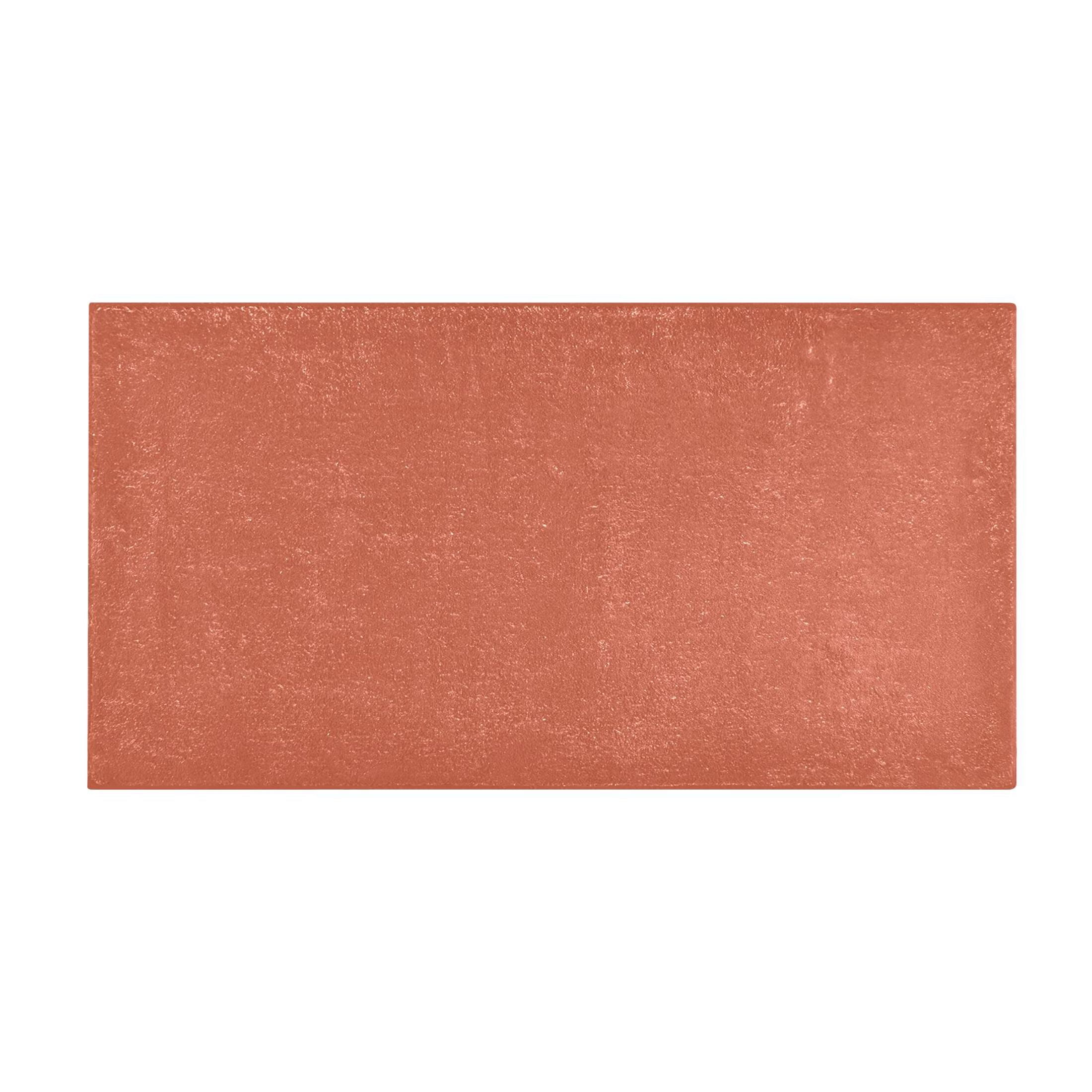 Rust Red Bath Mat 39x20 Non-Slip Bathroom Rugs Absorbent Soft Plush Quick Dry for Tub Shower Kitchen Home Decor