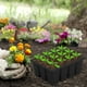 thumbnail image 1 of Bandejas de jardín Bandejas de semillas, Bandejas de semillas reutilizables para la germinación de semillas y propagación de plantas Maceta para plántulas, 1 of 8