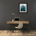 thumbnail image 3 of Phillip, Jamie 12x14 Black Ornate Wood Framed with Double Matting Museum Art Print Titled - Succulent Tropics, 3 of 4
