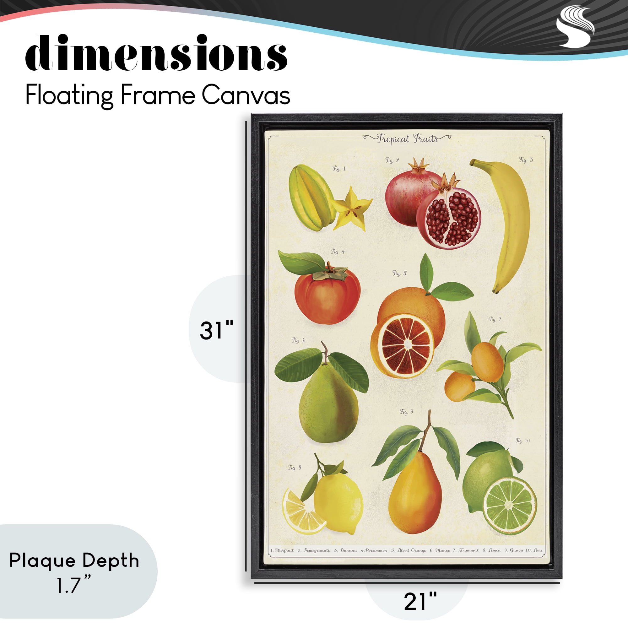 Stupell Industries Vintage Tropical Fruit Studies Black Framed Floater Canvas Wall Art, design by Diane Neukirch