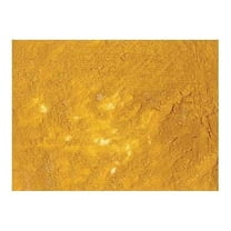 (Price/TU)Williamsburg 6000014-9 Handmade Oil Paint 37ml Italian Lemon Ochre