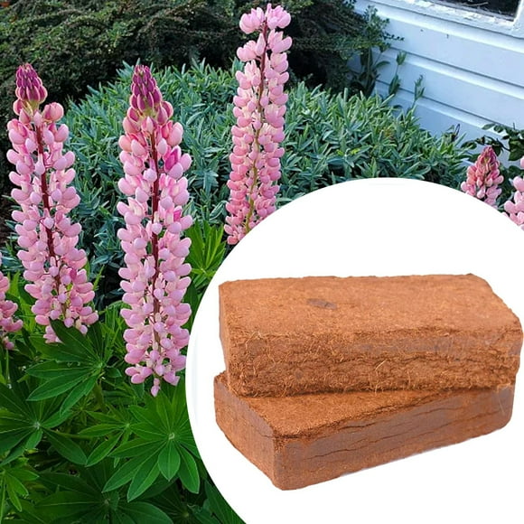 Coconut Brick Nutrient Soil Flower General Type Coconut Husk Flower Soil Vegetable Soil Demineralized Meaty Soil Soil Rooting Power Flexible Wool Cloning Gel Felting Foam Doll Hair for 38 Star Felting