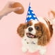 thumbnail image 3 of 5 piezas de juguete para perros, juguete para morder mascotas, huevos de simulación, entrenamiento para perros, juguetes de pelota de rebote (caqui), 3 of 7