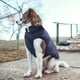 thumbnail image 3 of Chaqueta de invierno cortavientos para perros, talla S, azul, abrigo impermeable para perros, chaleco cálido para perros, ropa para mascotas de clima frío con 2 capas forradas de polar para mascotas, 3 of 5