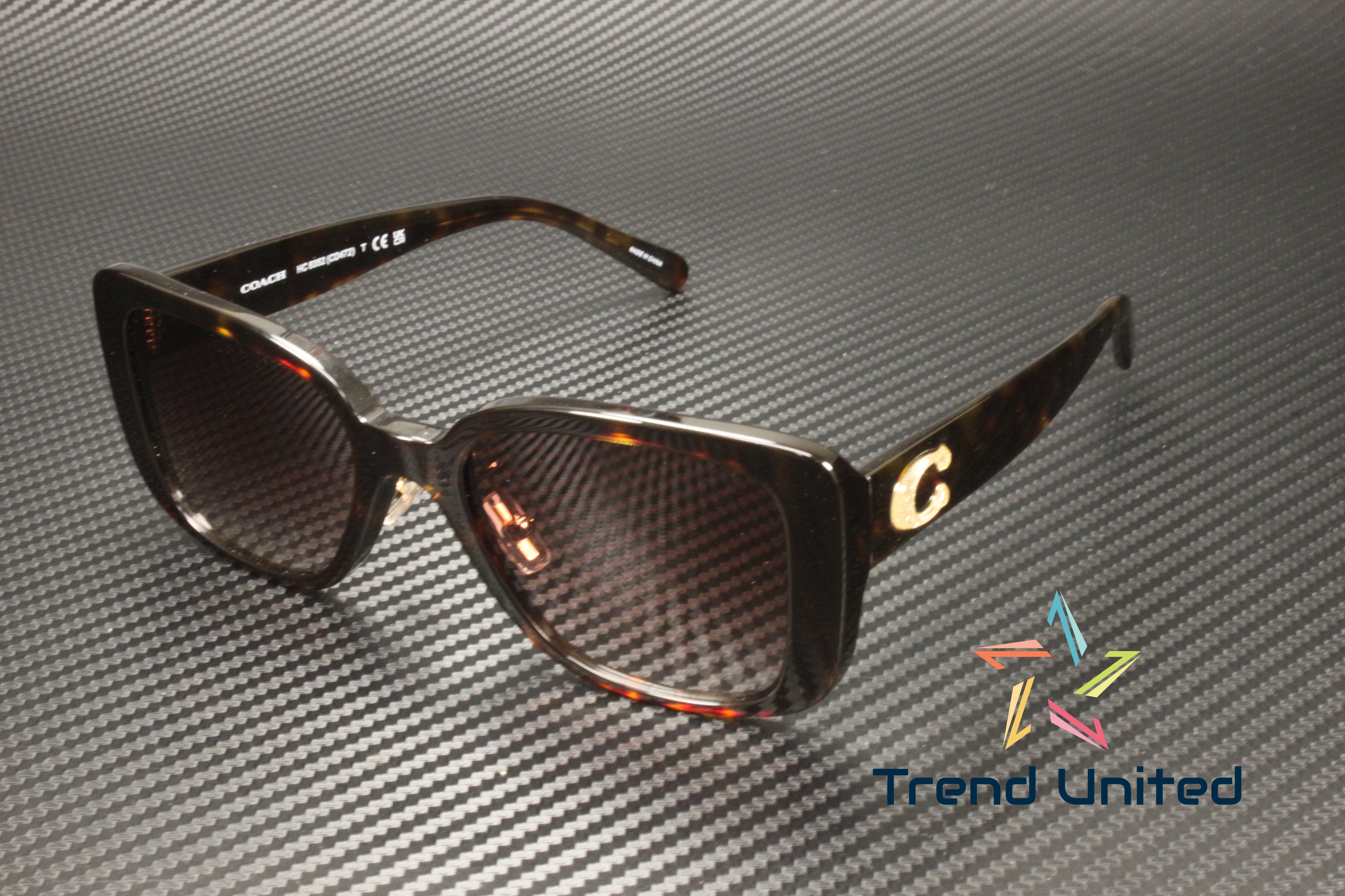 Sunglasses Prada PR 19 WS 2AU8C1 Tortoise Dark Brown 