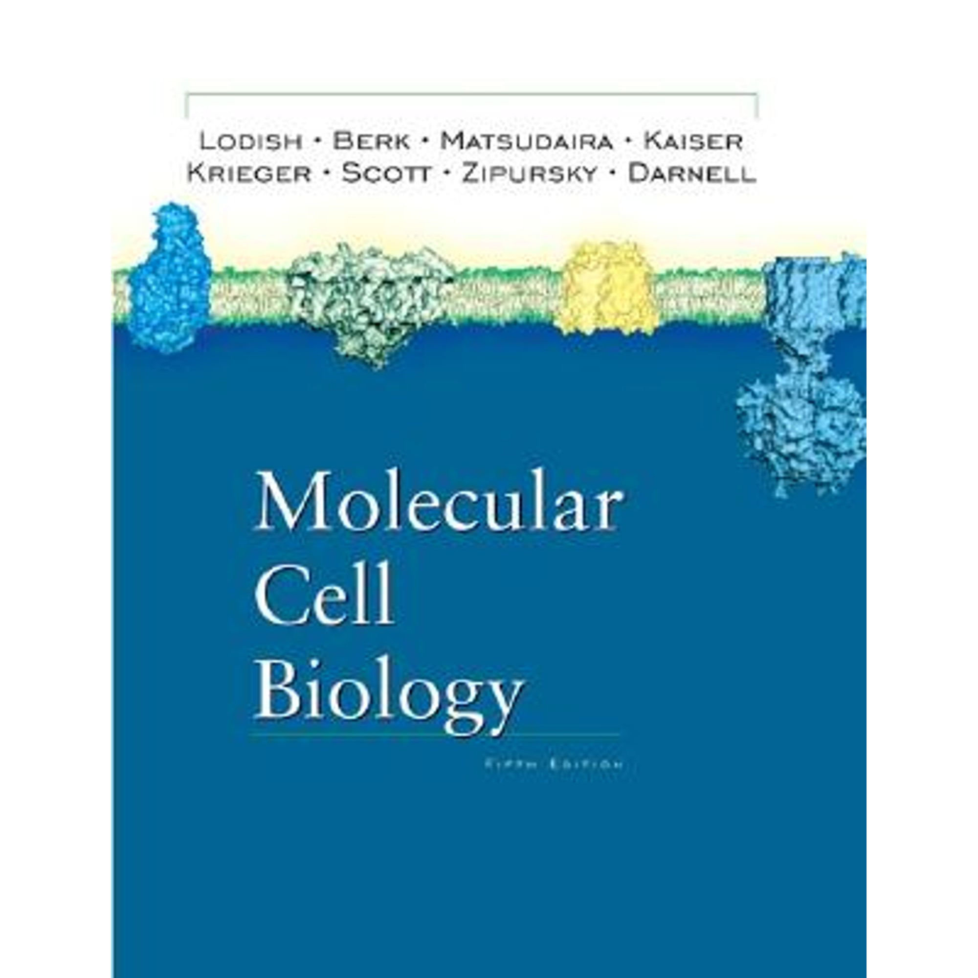 Molecular Cell Biology (Pre-Owned Hardcover 9780716743668) by Harvey Lodish,  Arnold Berk, Paul Matsudaira 