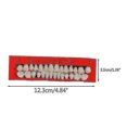 thumbnail image 2 of 28pcs Fixé Universel Resi Fausses Dents Dents en Résine Modèle, 2 of 2
