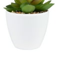 thumbnail image 7 of Northlight Mini White Potted Artificial Succulent Plant - 4", 7 of 7