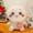 C, variant on Satchel Cute Chiikawa Momonga Plush Toy Plush Dolls Are Soft But Not Easily Deformed Plush Room Decoration Birthday Gift