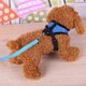 thumbnail image 5 of Mascota Chaleco Transpirable Arnés Correa Cachorro Caminando Correa De Cuerda De Tracción (Azul / M) Tmvgtek Oficina Multiescena Multifunción, 5 of 6