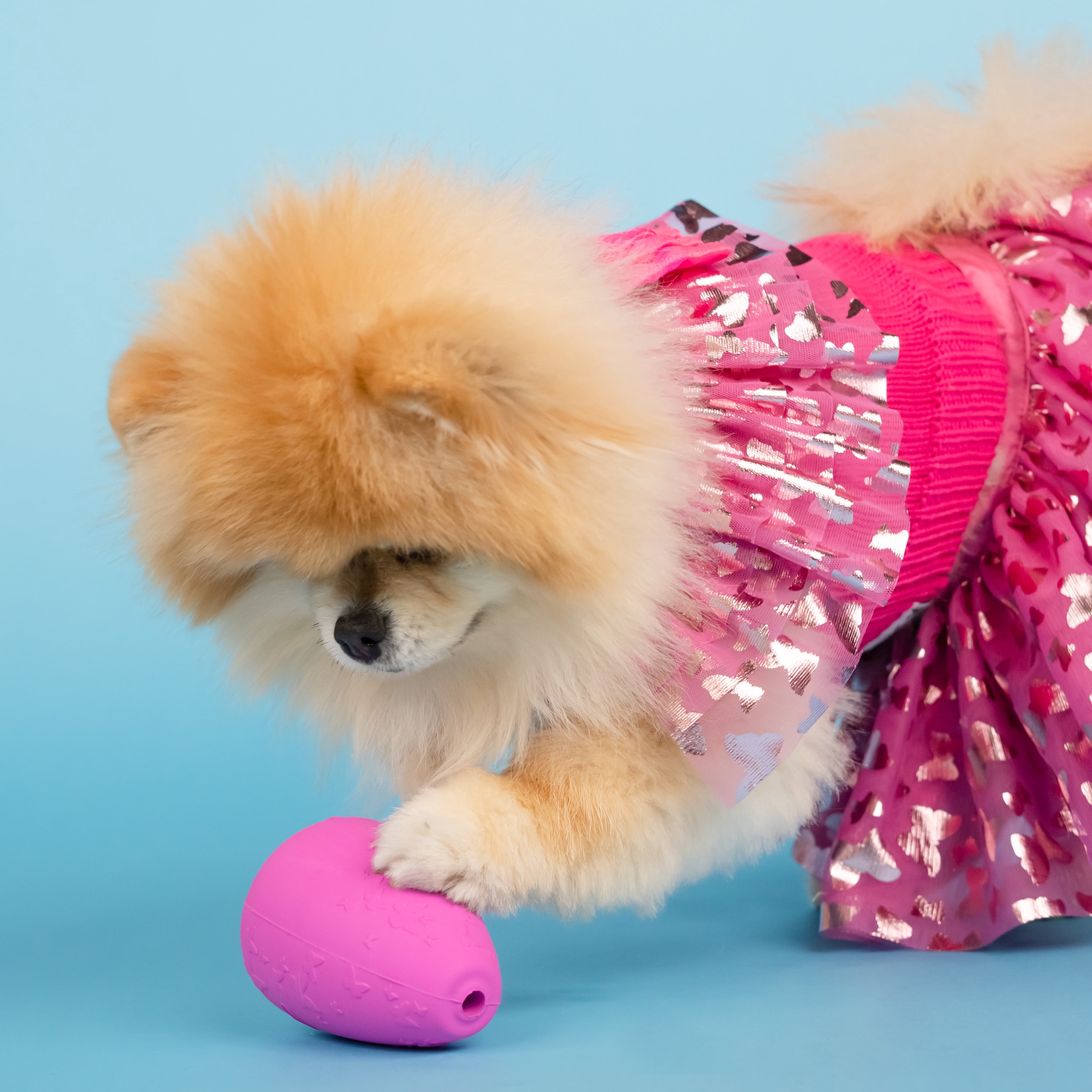 Doggy Parton, Dog Clothes, Ruffle Sweater and Skirt Two Piece Pet Set, Pink, XXL