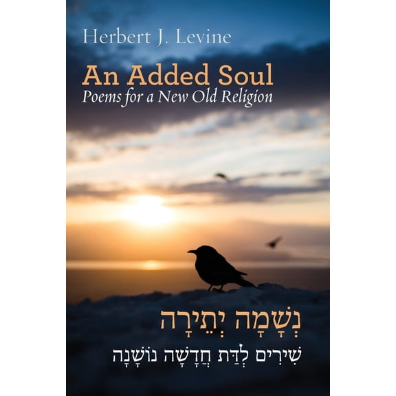 Jewish Poetry Project: An Added Soul (Paperback)
