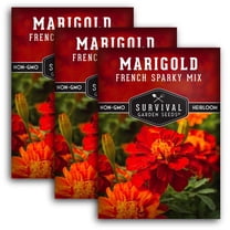 French Sparky Mix Marigold Seed - Heirloom Full Sun Annual Flower - 3 Packs