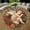 Cherub, variant on Circle Area Rug, Zebras Washable Non-Slip Floor Carpet, Soft Rug for Living Room Bedroom Decor 24 Inch