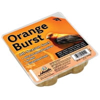 - heath outdoor products wild bird suet cake orange burst suet 12 pack