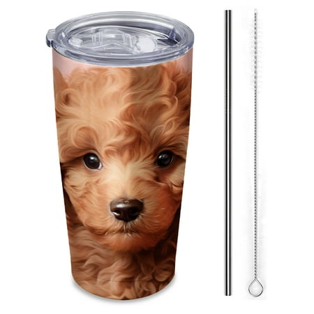 

adorable portrait of poodle puppy Insulated 20 oz Stainless Steel Travel Tumbler Reusable Straw & Brush Hot & Cold Drinkware for Car Office Outdoor