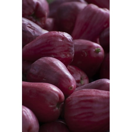 Canvas Print Natural Fruit Tropical Costa Rica Red Fruit Stretched Canvas 10 x (Best Fruit In Costa Rica)