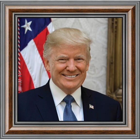 Donald Trump Official Framed Presidential Portrait, 10x10 8755