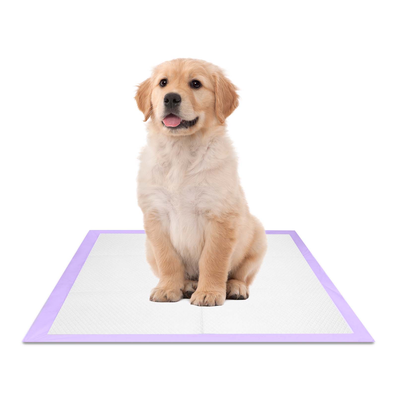 Petfamily Dog Training Pads, 23" x 24", 50ct, Lavender photo 4