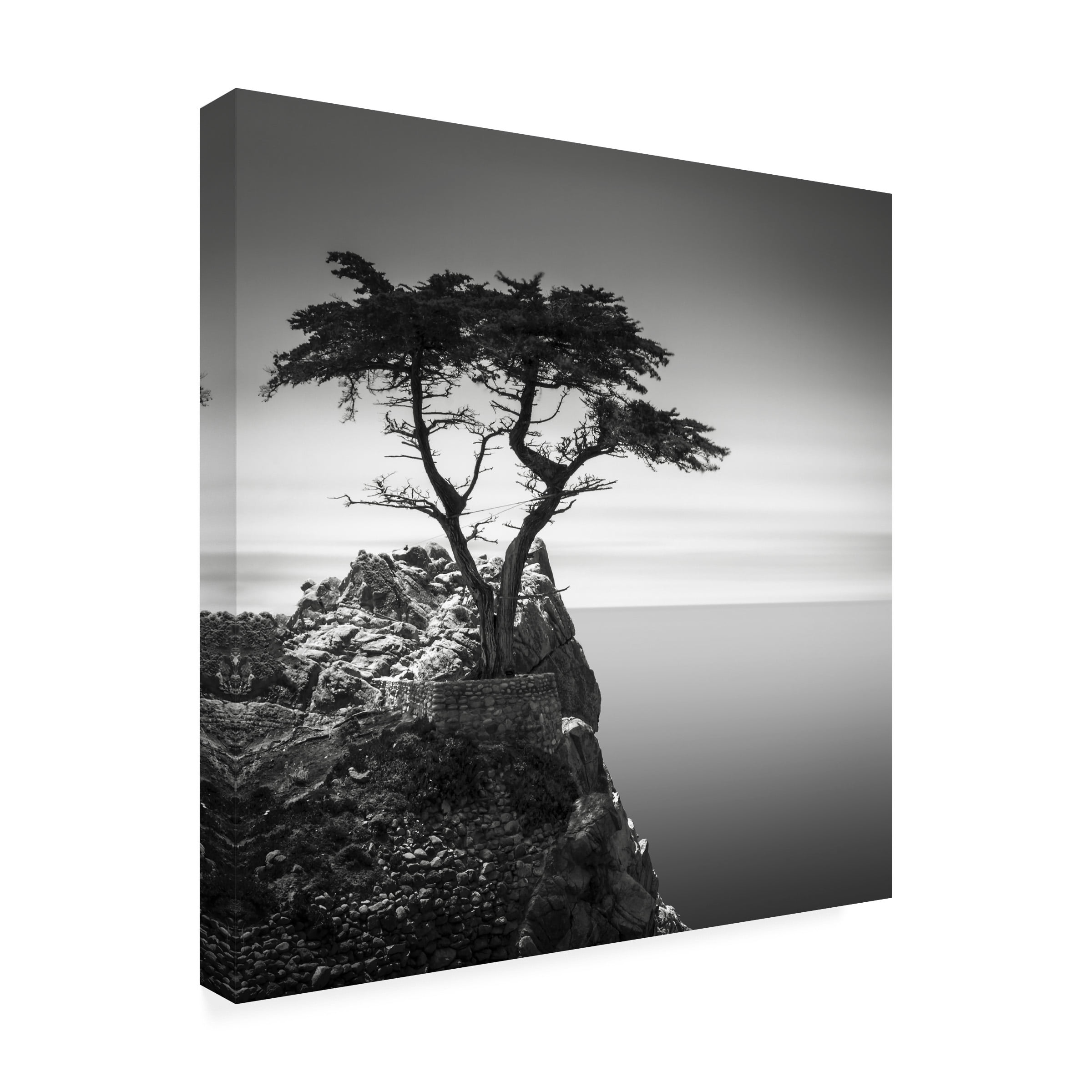 Trademark Fine Art Dave MacVicar The Lone Cypress Outdoor Canvas Art