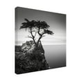thumbnail image 2 of Trademark Fine Art Dave MacVicar The Lone Cypress Outdoor Canvas Art, 2 of 7