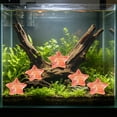 thumbnail image 4 of Cififendec 10Pcs Luminous Starfish Mini Ornament, 1", Glow In Dark Resin Aquarium Landscape Decoration for Fish Tank Bottom Layout, Underwater Scene Decor, 4 of 5