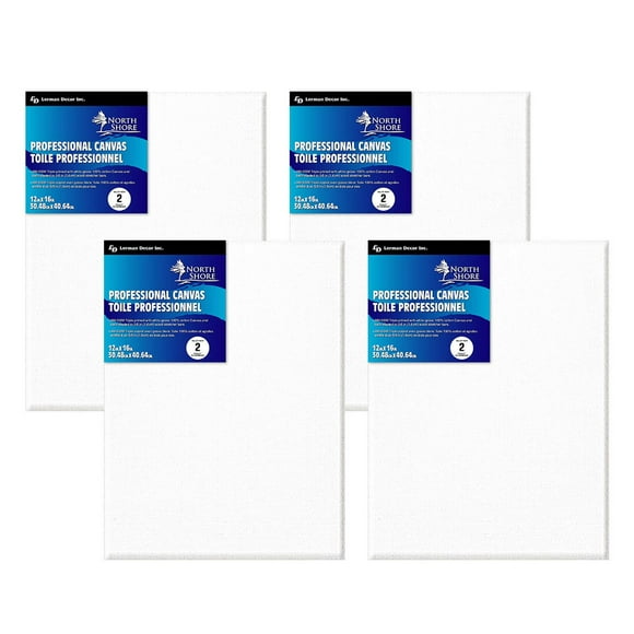 Toile professionnelle North Shore 12" x 16" paquet de 4