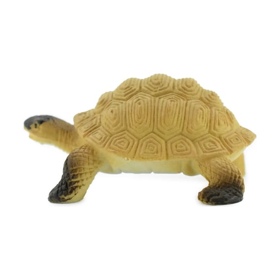 Tortoise, Galápagos tortoise, Turtle, Plastic Reptile, Educational, Realistic, Hand Painted, Figure, Lifelike Model, Figurine, Replica, Gift, 2" F4441 B55