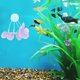 thumbnail image 3 of 6 plantas artificiales para acuario: follaje de plástico realista con ventosa para la seguridad de los peces. Kit de paisajismo para acuarios de agua dulce para principiantes., 3 of 6