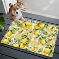 thumbnail image 3 of Yellow Lemons Entryway Rug 2'x3'&nbsp; Non Slip Front Door Mats, Summer Botanical Checkered Pastoral Entrance Rugs Indoor Outdoor Carpet, Washable Floor Mats Small Area Rug for Bedroom Kitchen, 3 of 8
