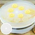 thumbnail image 6 of 3pcs Round Dehydrator Sheets Food Dryer Silicone Mats Dehydrator Pads Fruit Dryer Liner, 6 of 8